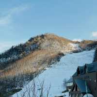 Sapporo Ski Dream❄️