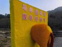 山景露台酒店房間下大,空間感十足,放鬆時刻🏞️