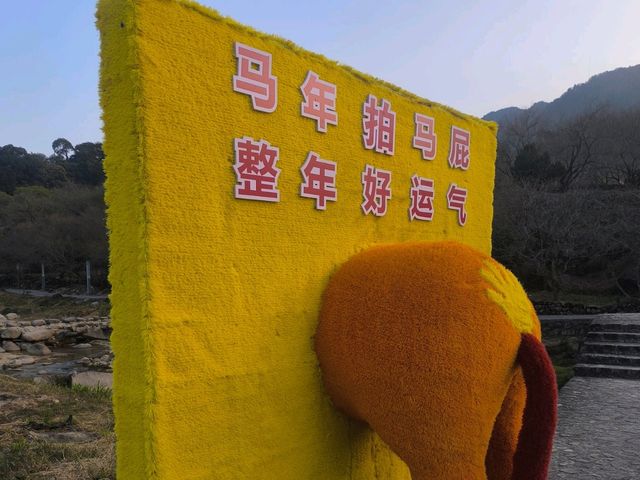 山景露台酒店房間下大,空間感十足,放鬆時刻🏞️