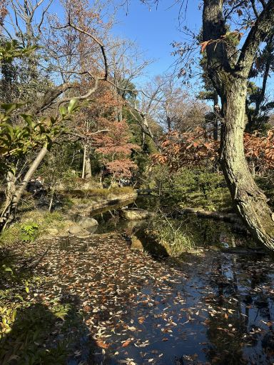 Nezu Museum: A Must-Visit Japanese Oasis | Trip.com Tokyo