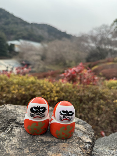 日本の勝王子寺へお越しください。幸運を一つずつ持ち帰ることができ
