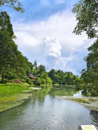 Escape the Heat and Splash Around at Khao Khitchakut National Park Waterfall!
