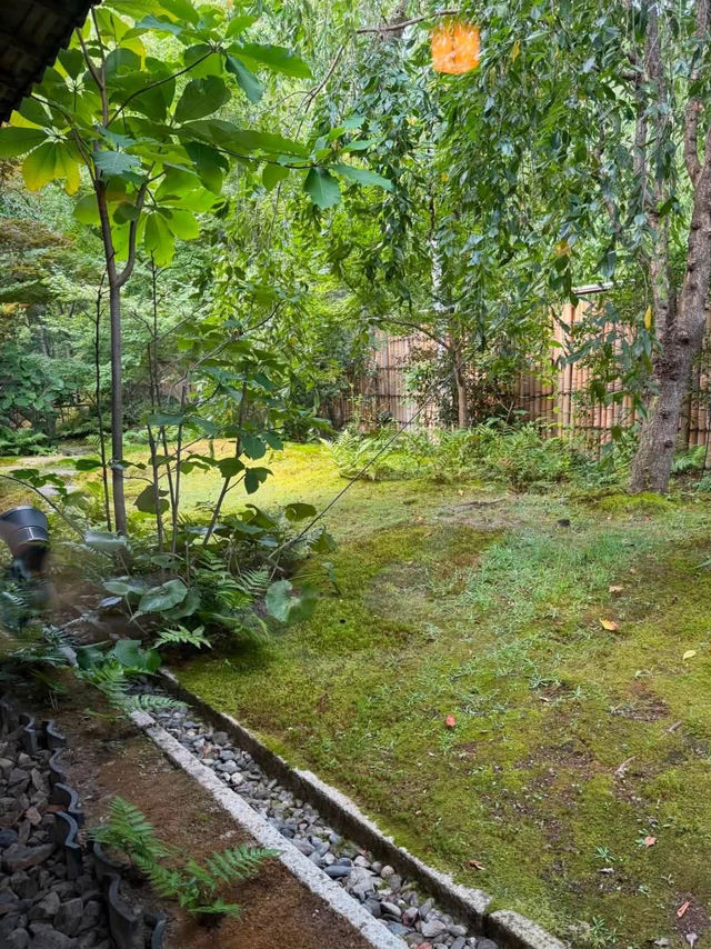 京都🇯🇵 家族傳統的茶道文化、庭園美學與京料理結合 🍵