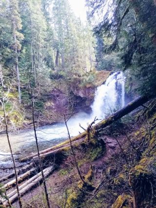 探索麥魯瑪縣 (Multnomah County)？先由呢個絕對經典嘅地方開始。