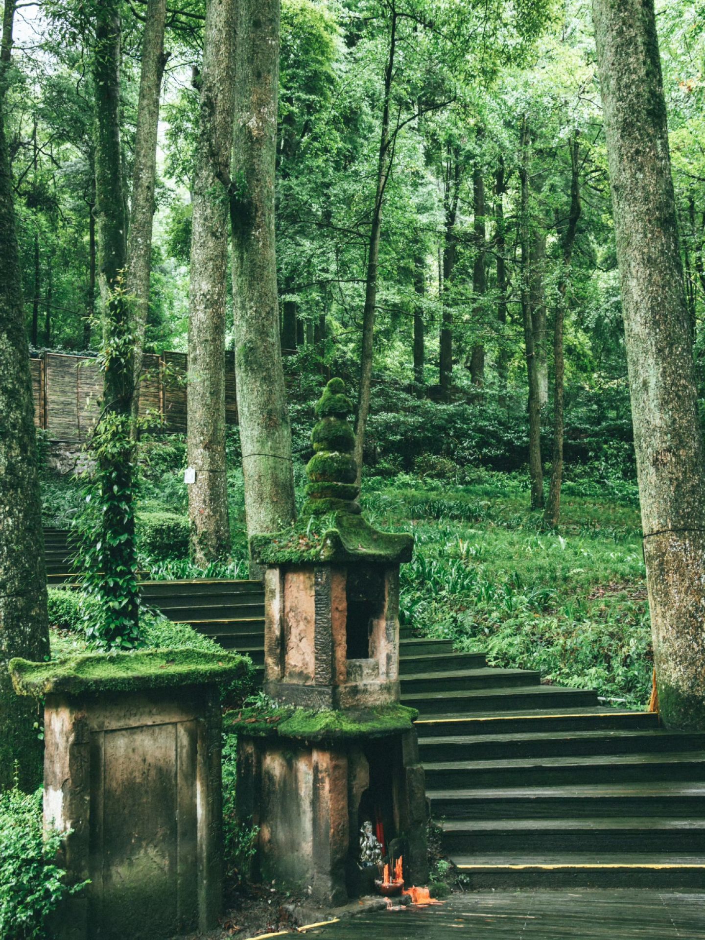 🌿 Qingcheng Mountain — Where Serenity Runs Deep