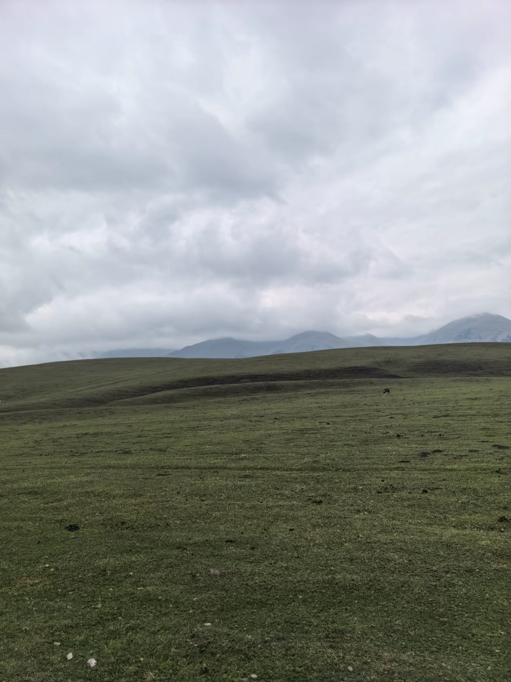 Why I Added Nalati Grassland to My Bucket List