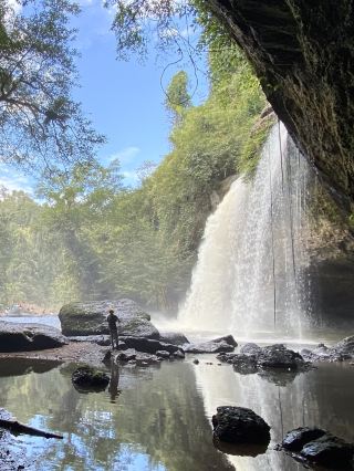 Khao Yai National Park — A Day in the Wild 🌿