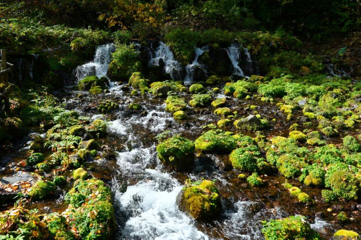 travel2026