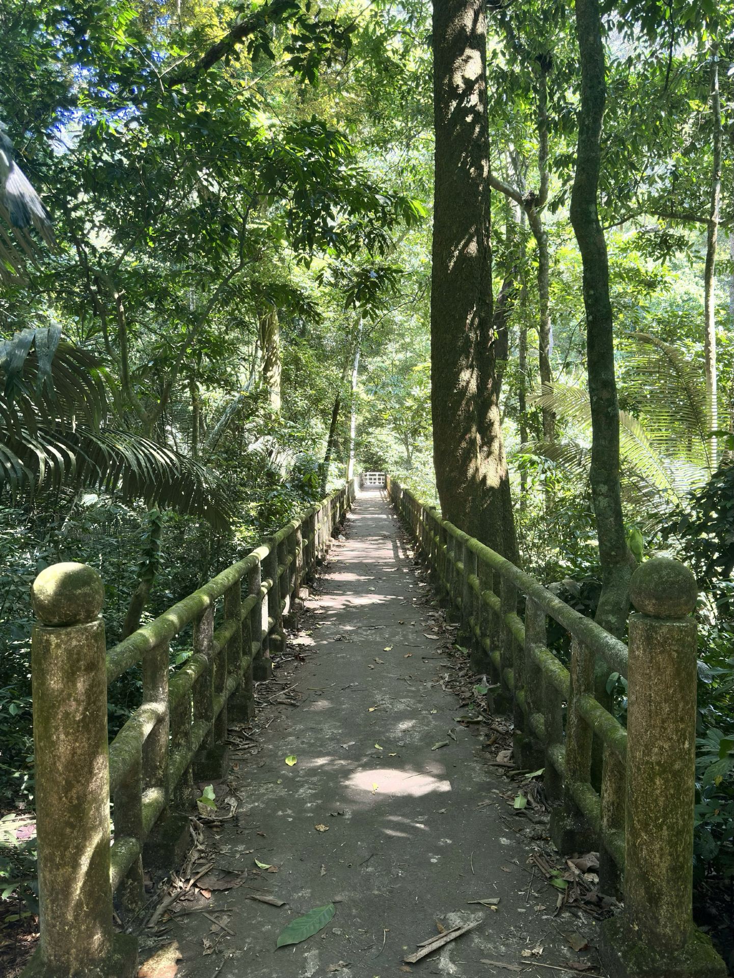 Cuc Phuong: An Ancient Cave and a Day in the Jungle