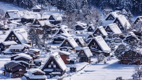 What to Do in Gifu? Things not to miss out! — traveler post in Gujo