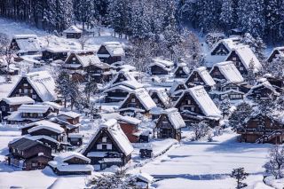 What to Do in Gifu? Things not to miss out!