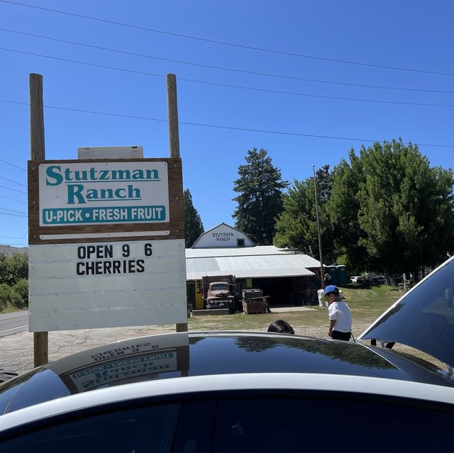 🇺🇸체리따러 함께 가요 “Stutzman Ranch”