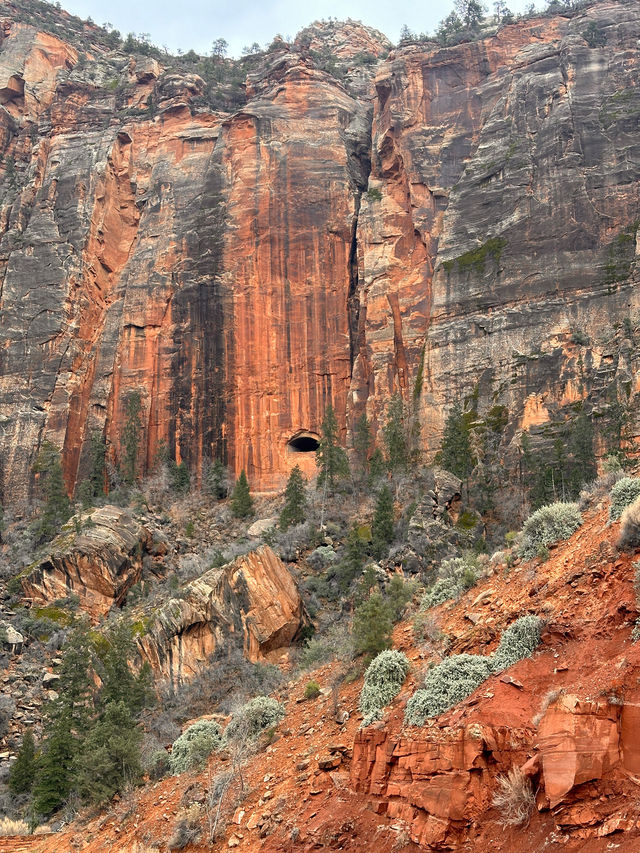 Zion, Landscapes you have to see to believe! 