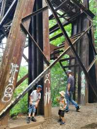 Roots, Rocks, and Rivers: Exploring Grand Ledge’s Hidden Trails