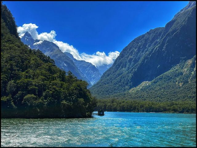 Milford Sound - Stunning Views 