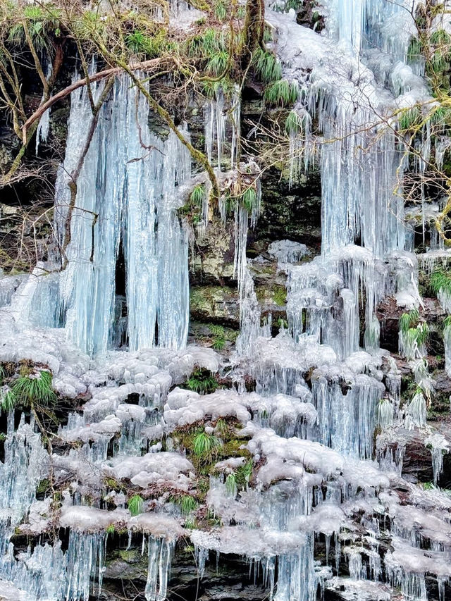 【埼玉】秩父の氷柱