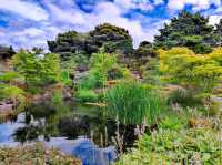 Royal Botanic Garden
