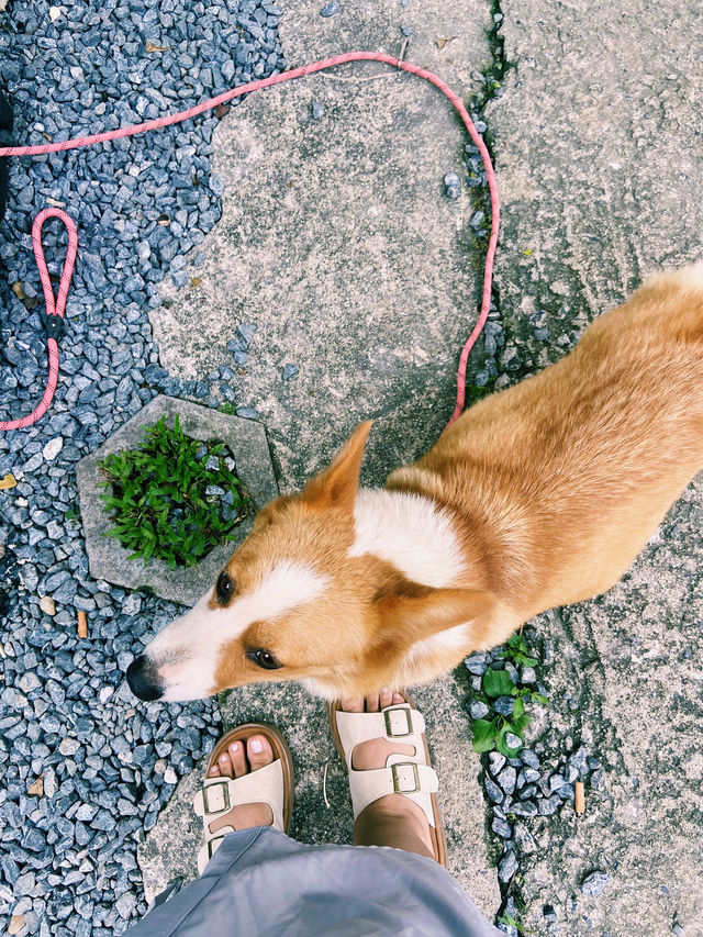 Qingyuan 3 Days Travel Guide 