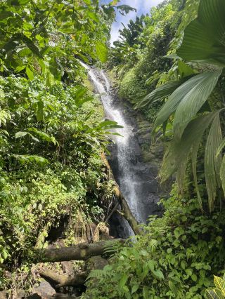 Grenada's Hidden Gem: Fontainebleau Falls