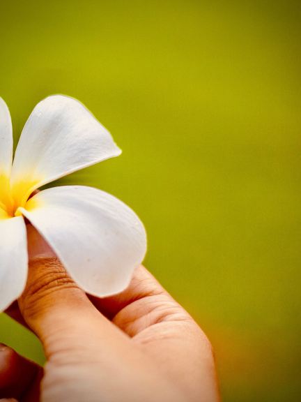 황강량산의 화강암 봉우리: 친링 산맥 최고의 일반 공개 등산로를 걷다