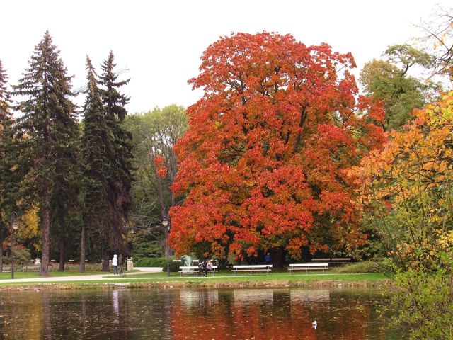 Beautiful autumn in Ujazdowski Park 🗺️