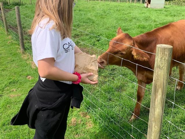 Mabie Farm Park 🇬🇧