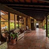 Fantastic one night stay in the rainforest 