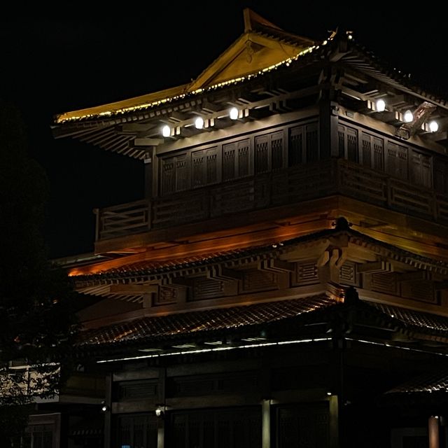 Hangzhou River Night Walk 