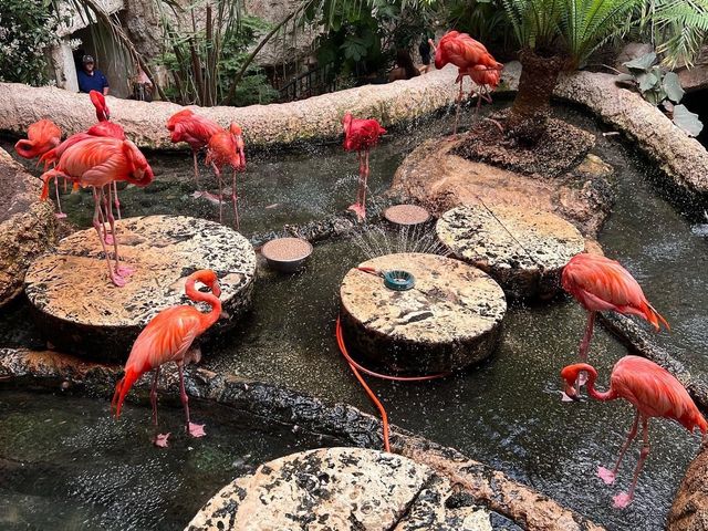 The Dallas World Aquarium 🐟🐬