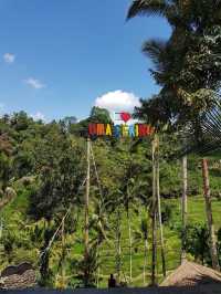 Bali's Tegallalang Rice Terraces