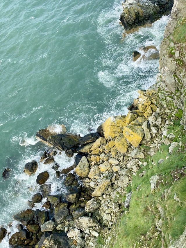 Howth Cliff Walk 🌸🌿🌊