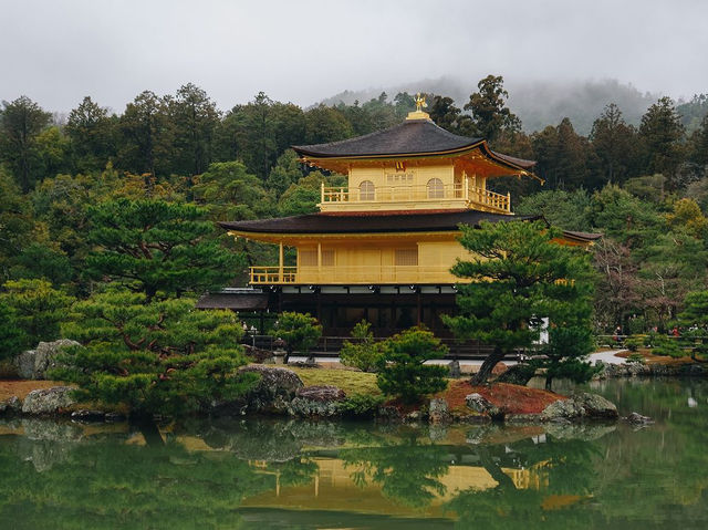 Kyoto, Japan 🇯🇵 