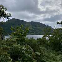 Nature’s Splendor on the Muckross Lake Loop 🍃