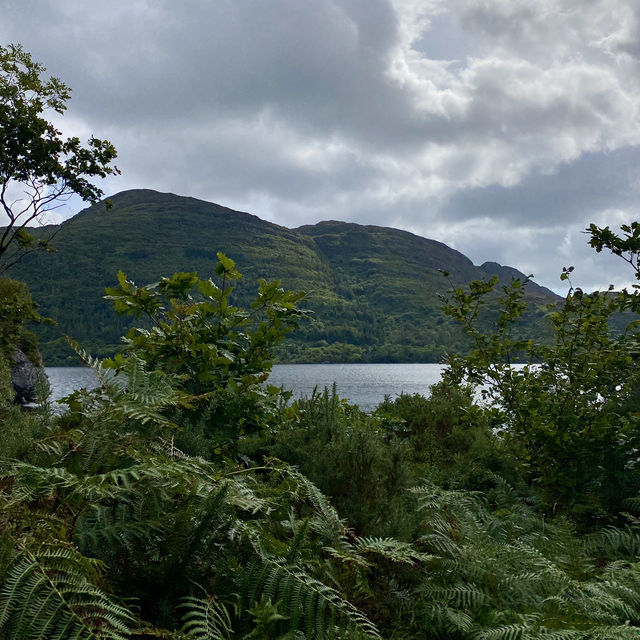 Nature’s Splendor on the Muckross Lake Loop 🍃
