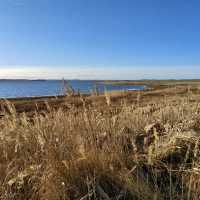 The Gallocanta Lagoon - Spain