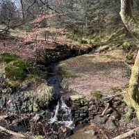 The most Southerly ‘fell’ in England 