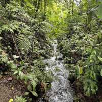 A volcano in the rainforest 