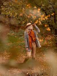 모스크바: 눈부신 색채로 가득한 가을의 매력적인 도시 🍂 