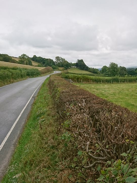 🚴‍♂️ Wild Wales on Two Wheels: Welshpool to Aberystwyth 🚴‍♀️