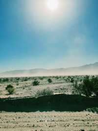 Death Valley National Park – Earth’s Most Extreme Theme Park! 🌞🏜️