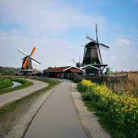 A Windmill Wonderland: A Day Trip to Zaanse Schans from Amsterdam
