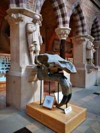 Fossils and Foundations: Discovering Oxford's Natural Wonders