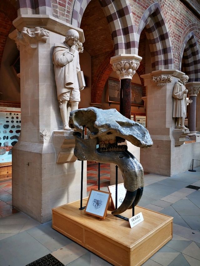 Fossils and Foundations: Discovering Oxford's Natural Wonders