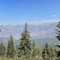 🚗 Transportation Tips for Visiting Sequoia National Park