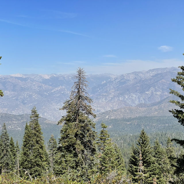 🚗 Transportation Tips for Visiting Sequoia National Park
