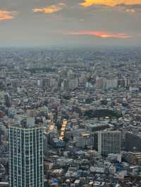 ✨ Best Spots for Tokyo Skyline Views: Free and Paid Options