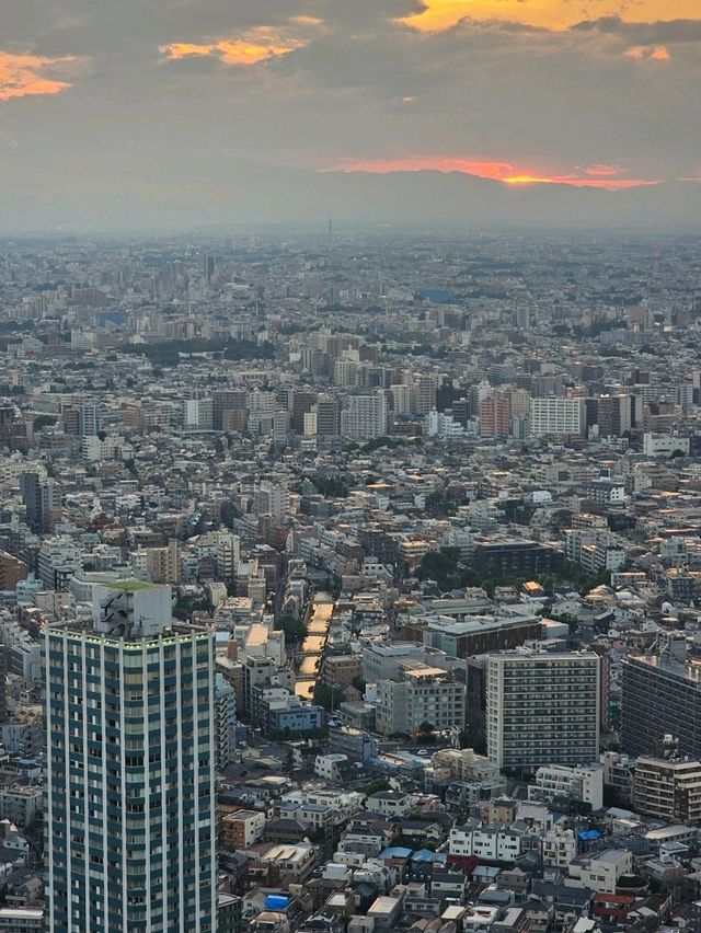 ✨ Best Spots for Tokyo Skyline Views: Free and Paid Options