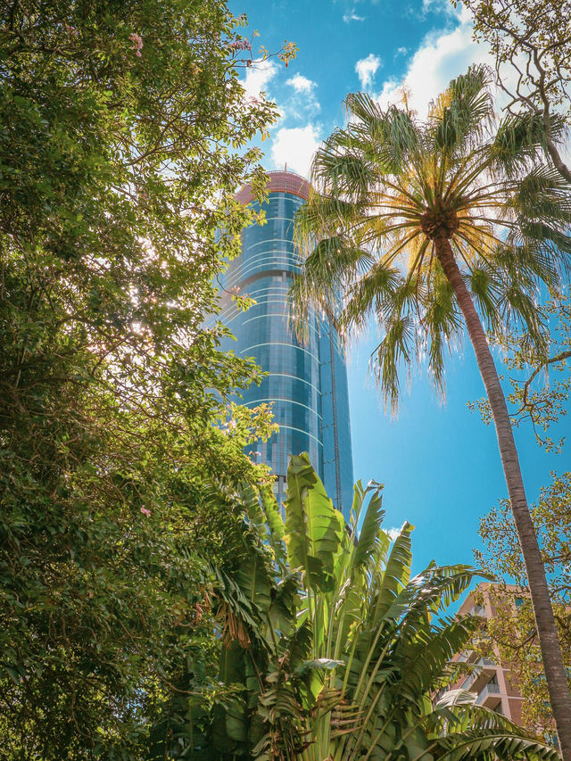 🌴 Botanical Escapes in the Heart of Brisbane