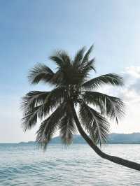🌴 Koh Samui: Thailand’s Irresistible Tropical Poem 🐚🌺  