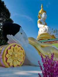 🐊 Wat Paichorake – The Crocodile Temple of Wonder